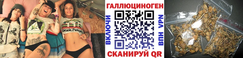 купить закладку  Дербент  Псилоцибиновые грибы Psilocybe 