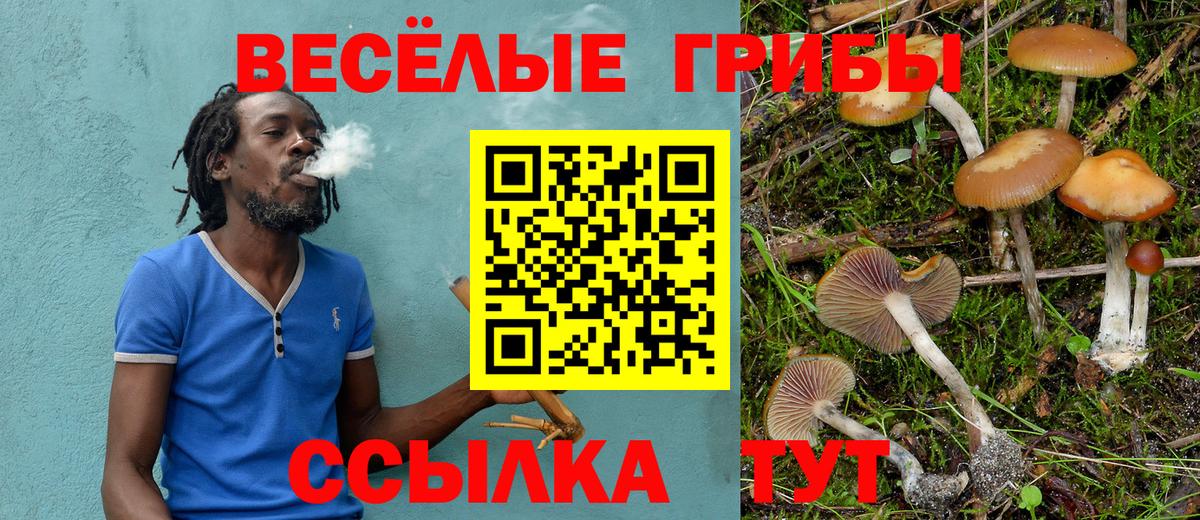 Галлюциногенные грибы Magic Shrooms Дербент