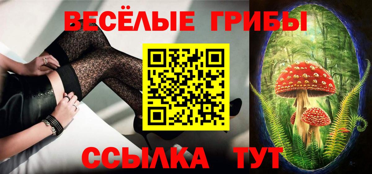 Галлюциногенные грибы GOLDEN TEACHER  Вход с VPN  Дербент 
